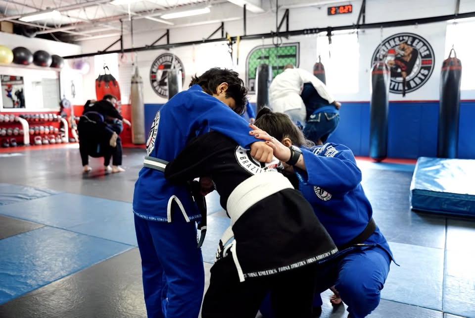 Brazilian Jiu-Jitsu at Ippon Sports Academy